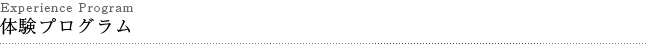 体験プログラム
